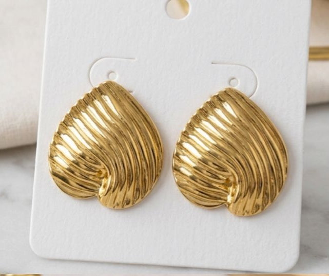 Stainless Steel Earrings