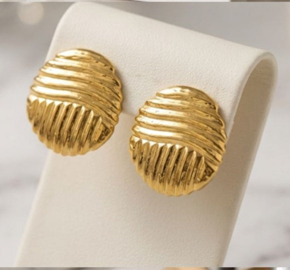 Stainless Steel Earrings