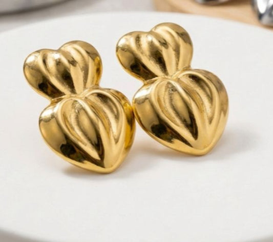 Stainless Steel Earrings