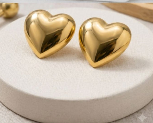 Stainless Steel Earrings