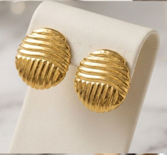 Stainless Steel Earrings